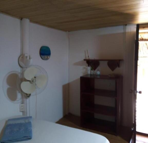 اتاق استاندارد با سرویس بهداشتی مشترک, Hostal Paloma Café