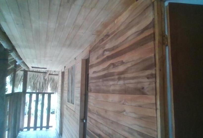 اتاق استاندارد با سرویس بهداشتی مشترک, Hostal Paloma Café