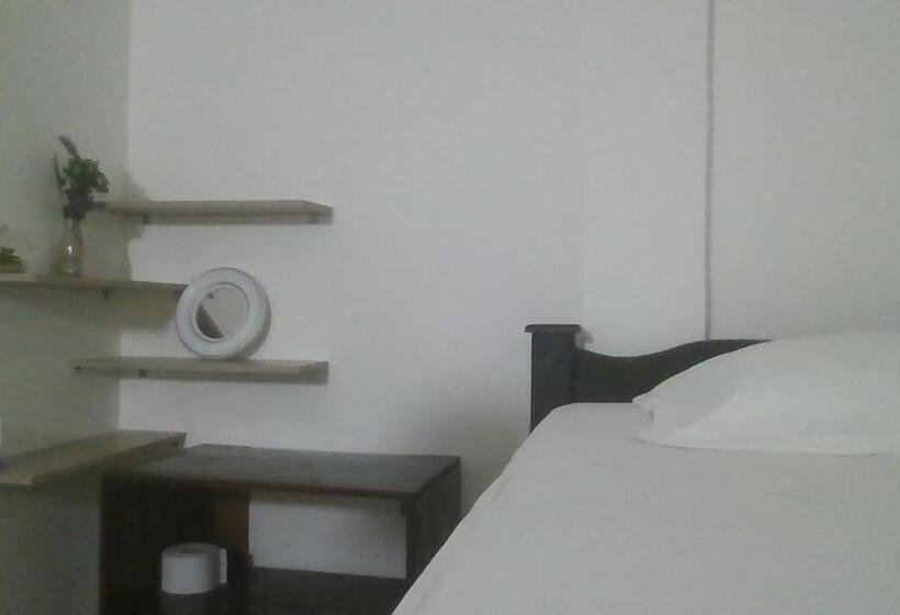 اتاق استاندارد چهار تخته, Hostal Paloma Café