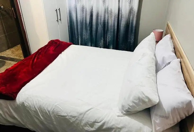 スタンダードルーム, The Success Guest House