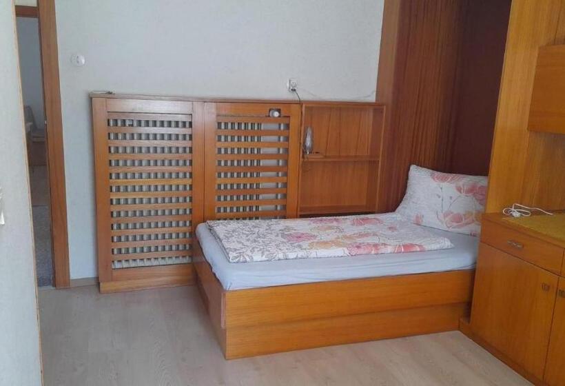 标准单人间, Pension Sonnenschein