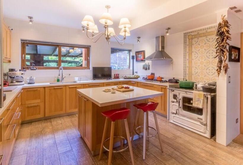 マウンテンビュースタンダードルーム, B&b Puerto Varas Playa Venado