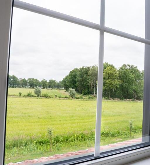 חדר פרמיום לארבעה, Boldiek