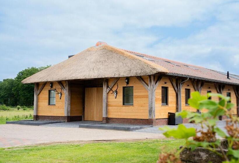 חדר דלוקס לארבעה, Boldiek