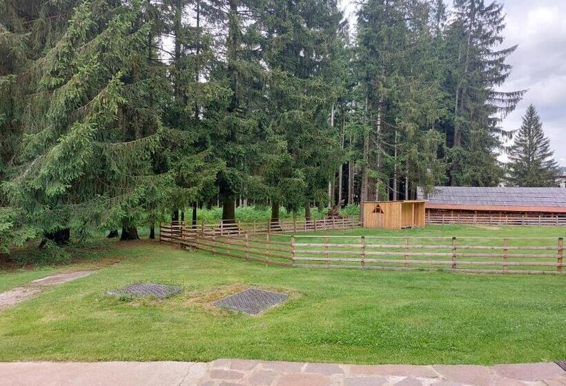 בקתת חדר, Rekreační Středisko Rojana