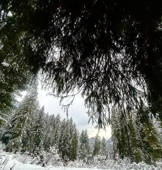 스탠다드 발코니 룸, Woodstock Villa Rooms&entirevilla Tulga