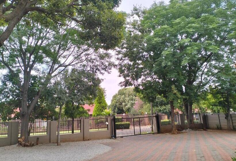 Standart Oda, O&s Bnb