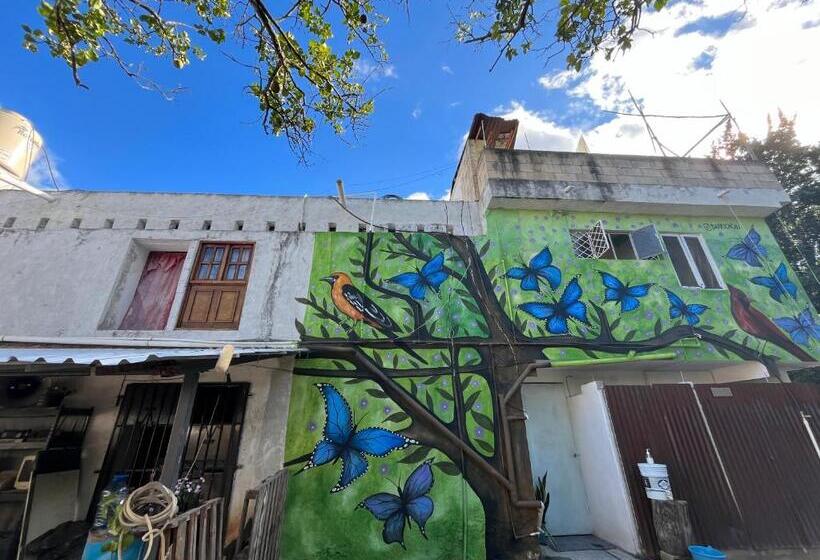 ルームシェアのワンベッド, Hostel Xiinbal Habitación Comunitaria