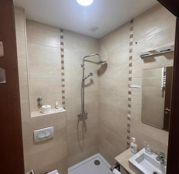 اتاق لوکس با چشم‌انداز دریاچه, Aqua Prenociste Palic