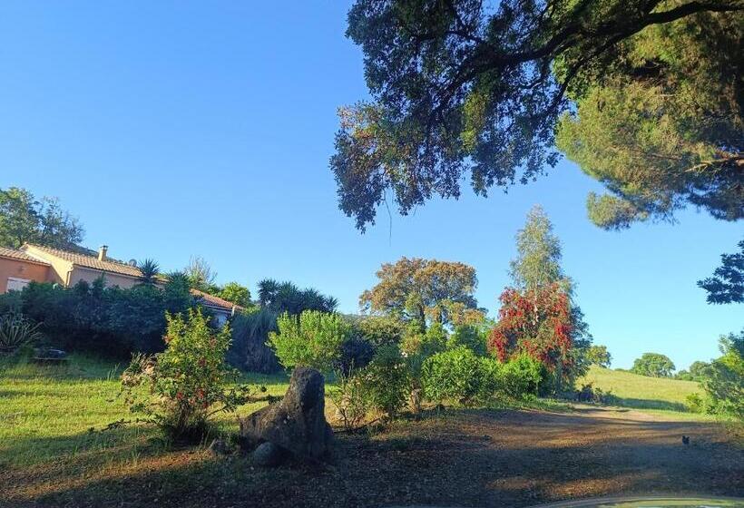 スタンダードルーム, Chambre D Hôte Cosy