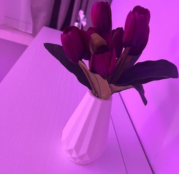 اتاق استاندارد سه نفره, La Dea Bendata