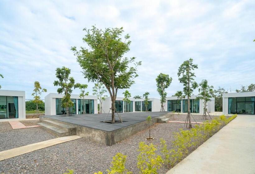 이코노미 룸, Pran Riverside