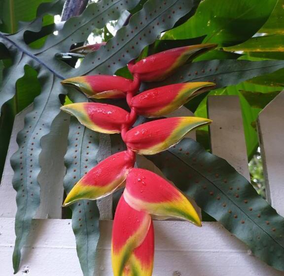 חדר משפחתי, Casa La Moore Self Catering Accomodation