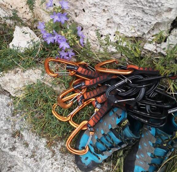 Семейный Номер, B&b M&m