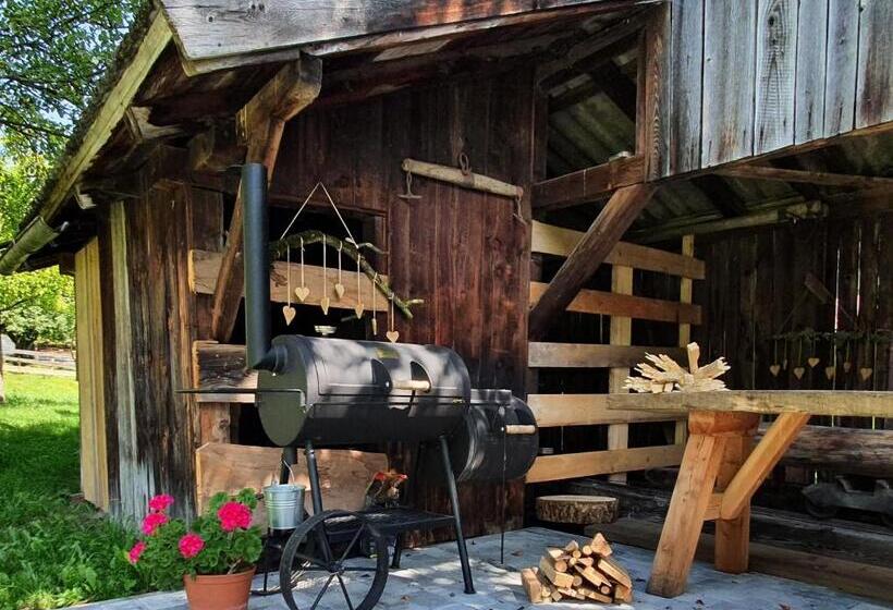 Номер Стандарт Вид на Горы, Neufangbauer, Familie Sabine Und Peter Hauser