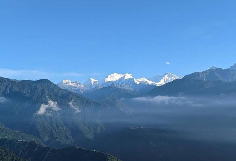 غرفة إقتصادية, The Ace Pine Valley