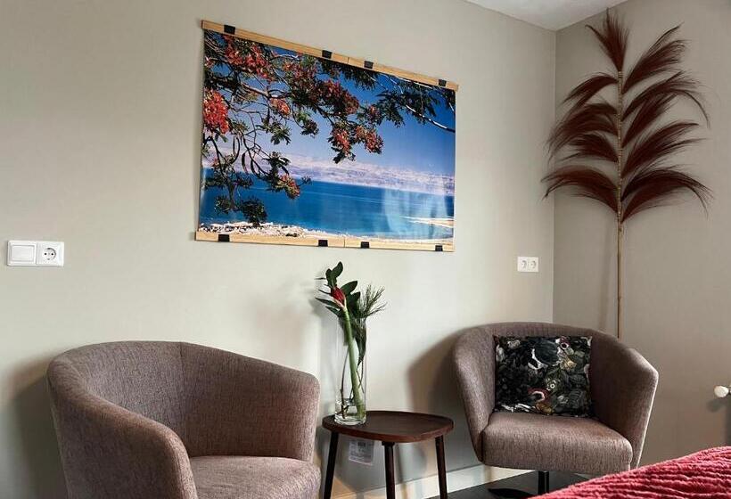 חדר דחוקס עם מיטת קינג, B&b Moria