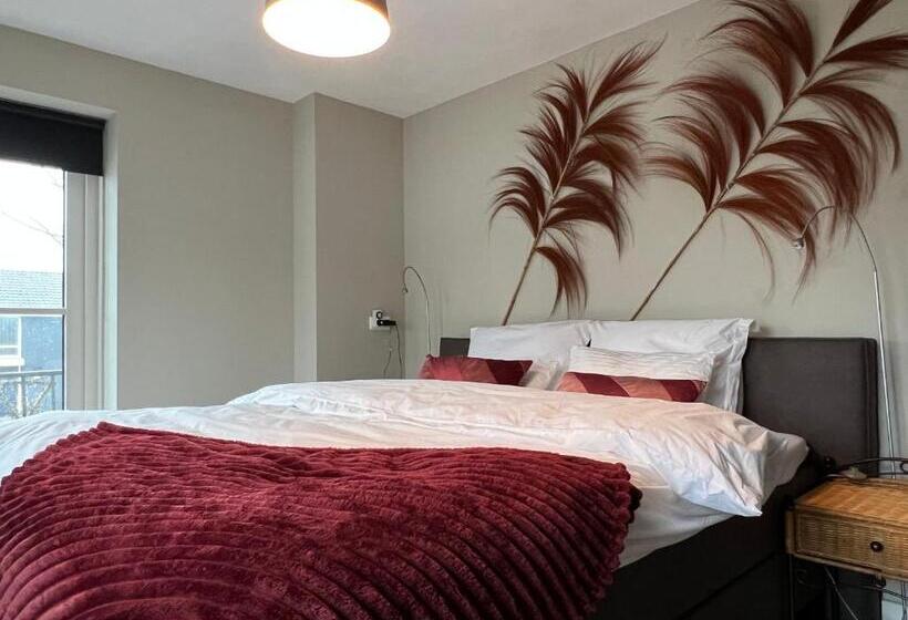 חדר דחוקס עם מיטת קינג, B&b Moria