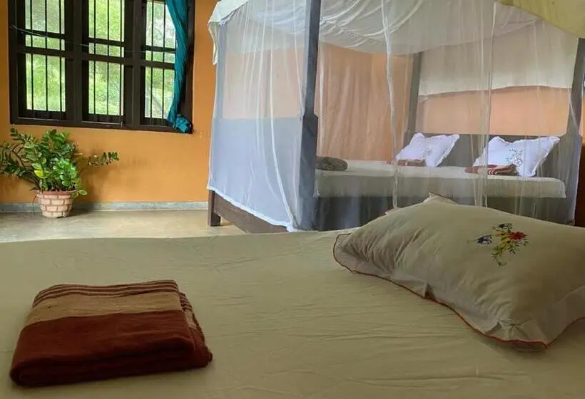 Standard-huone, Yala Ying Yang Hostel & Camping