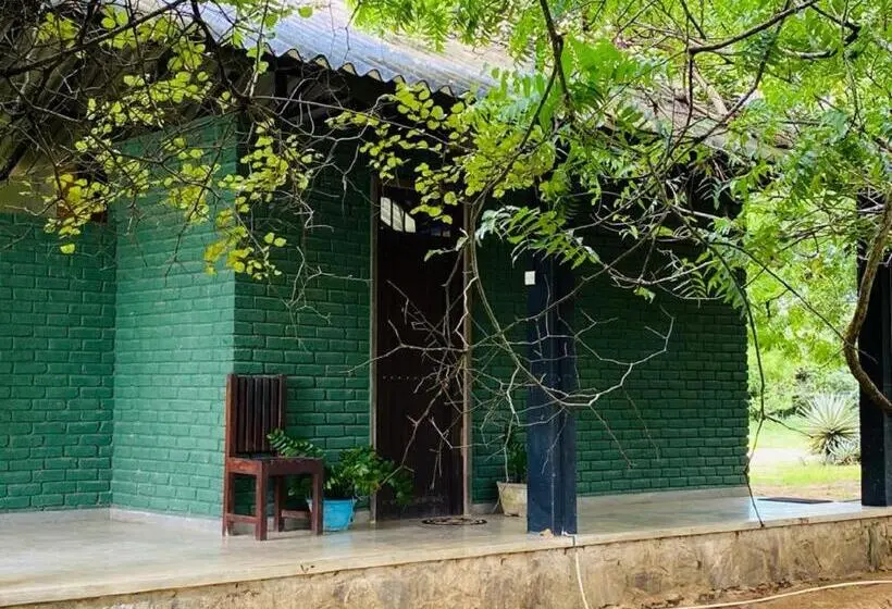 Standard-huone, Yala Ying Yang Hostel & Camping