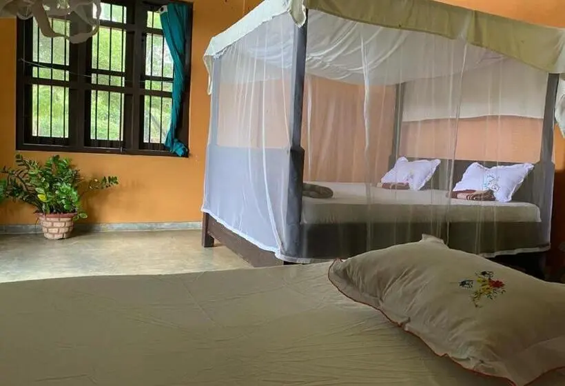 Standard Kolmen Hengen Huone, Yala Ying Yang Hostel & Camping