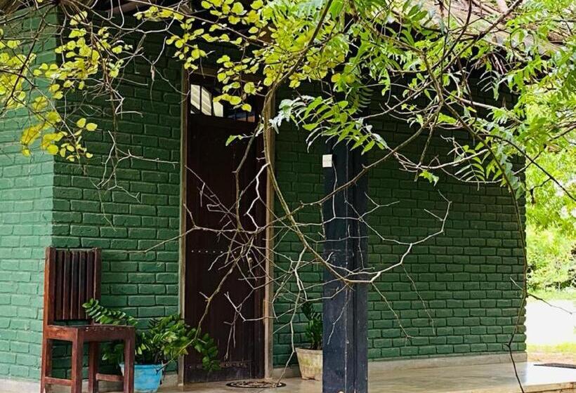 标准三人间, Yala Ying Yang Hostel & Camping