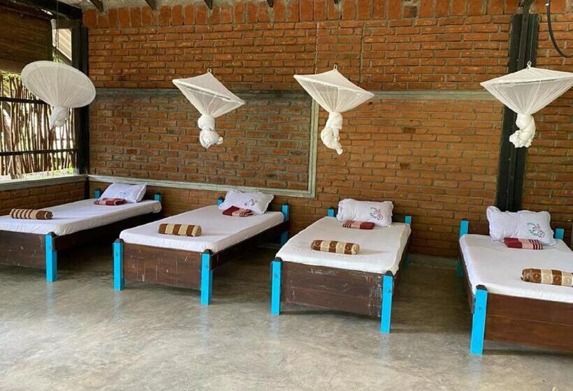 共用房间的床, Yala Ying Yang Hostel & Camping