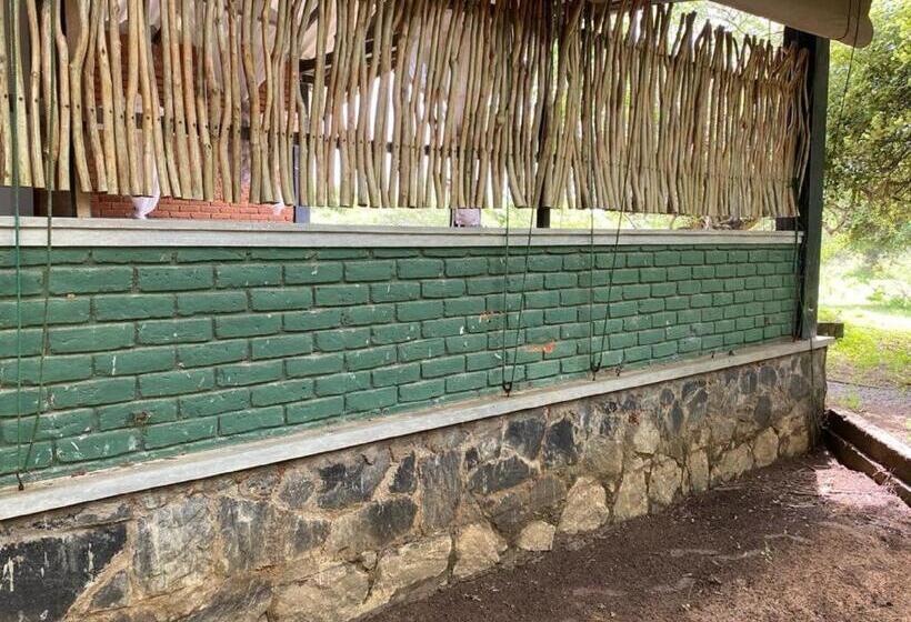 共用房间的床, Yala Ying Yang Hostel & Camping