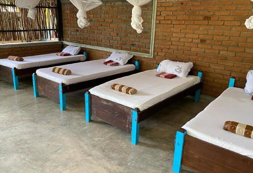 共用房间的床, Yala Ying Yang Hostel & Camping