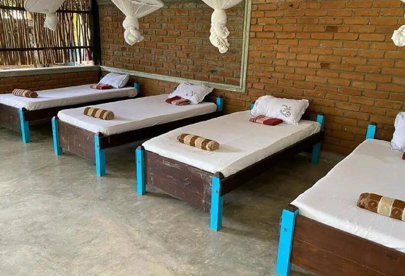 Vuode Makuusalissa, Yala Ying Yang Hostel & Camping