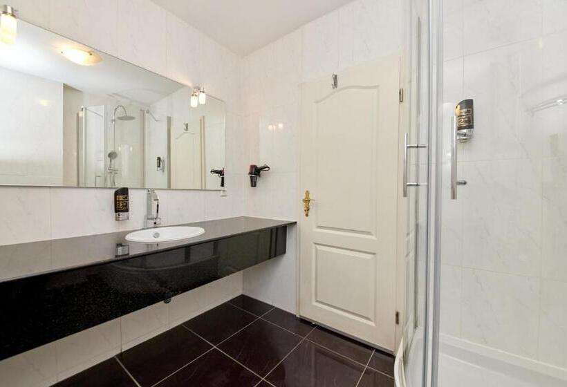 חדר סטנדרט יחיד, Moselhotel Römischer Kaiser