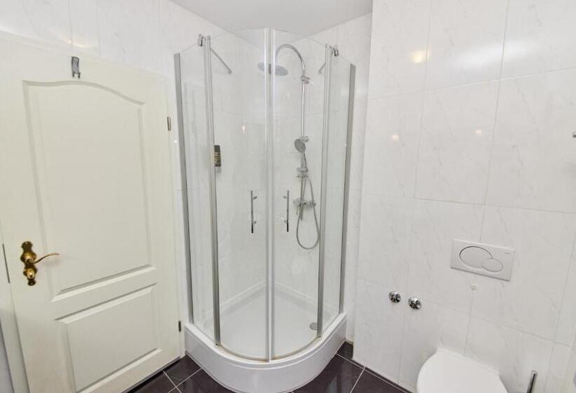 חדר סטנדרט יחיד, Moselhotel Römischer Kaiser