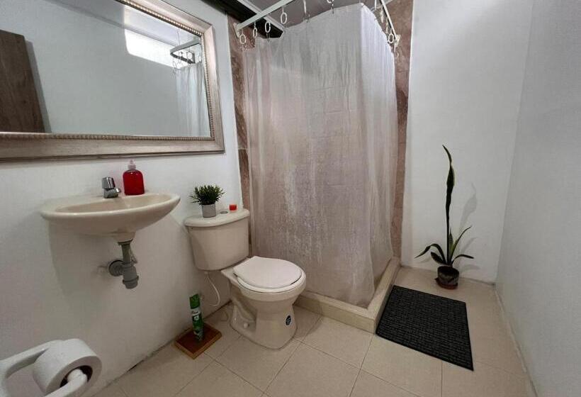 اتاق چهار تخته با دستشویی مشترک, Epifania Hostel