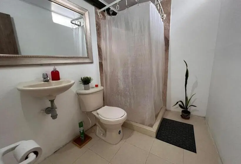 اتاق چهار تخته با دستشویی مشترک, Epifania Hostel