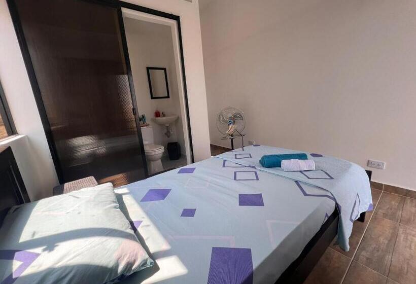 اتاق سوپریور, Epifania Hostel