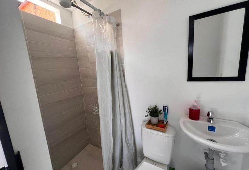 اتاق سوپریور, Epifania Hostel