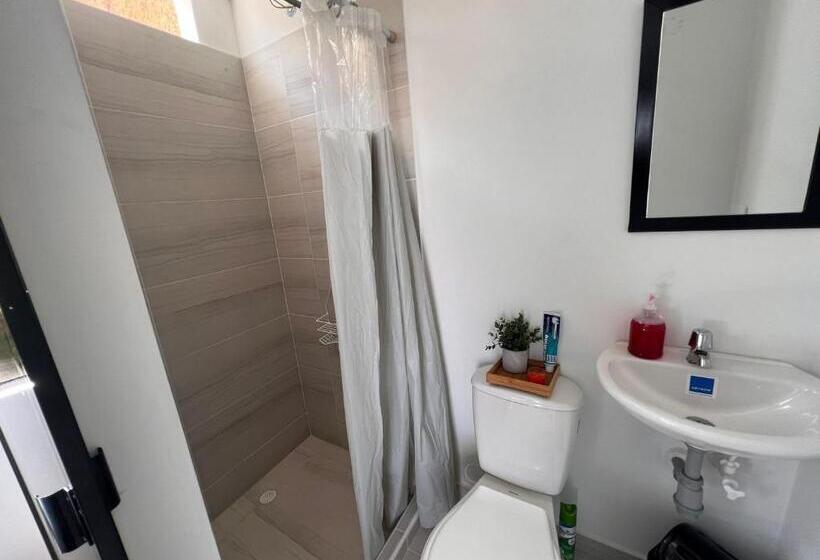 اتاق سوپریور, Epifania Hostel