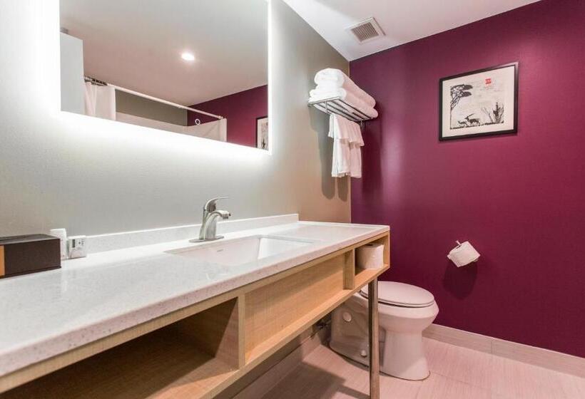 Апартаменты 1 Спальня, Kc Inn Hotel Kansas City