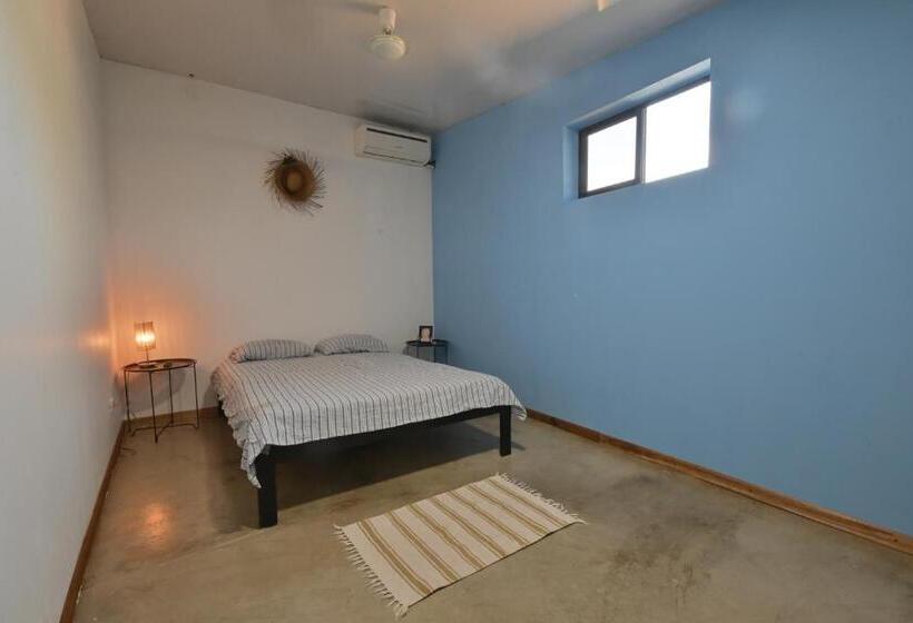 Номер Стандарт, Hostel Real