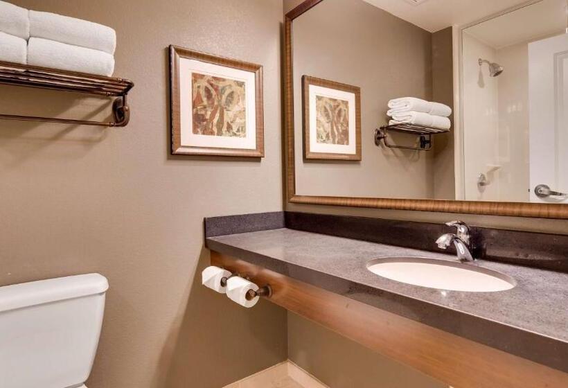 Люкс Адаптированный для Инвалидов, Best Western Plus Chandler Hotel & Suites