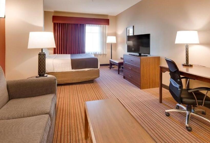 غرفة قياسية لذوى الاحتياجات الخاصة, Best Western Plus Chandler Hotel & Suites