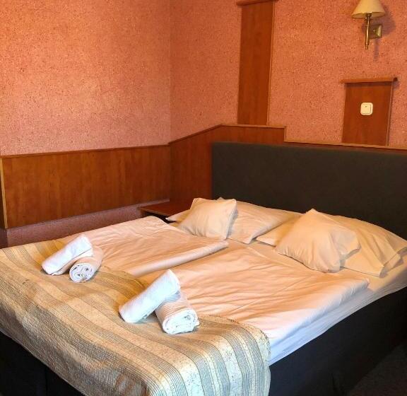 Номер Стандарт 2 Двуспальные Кровати, Bagolyvár Inárcs