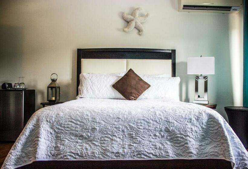 اتاق سوپریور با تخت بزرگ, Bella Noni B&b