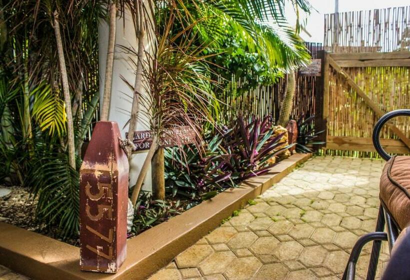 سوییت لوکس, Bella Noni B&b