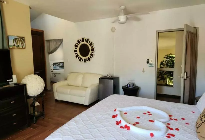 اتاق سوپریور با تخت بزرگ, Bella Noni B&b