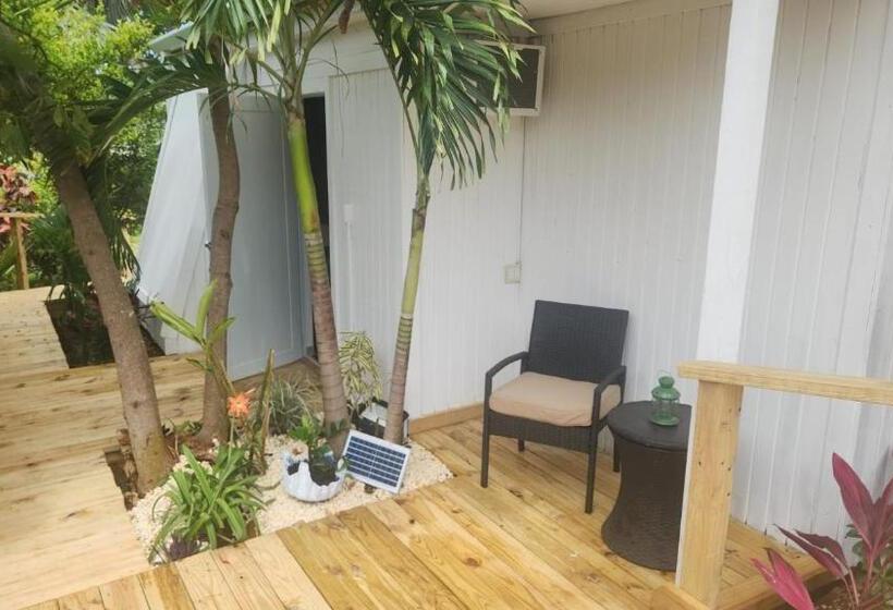 اتاق استاندارد, Bella Noni B&b