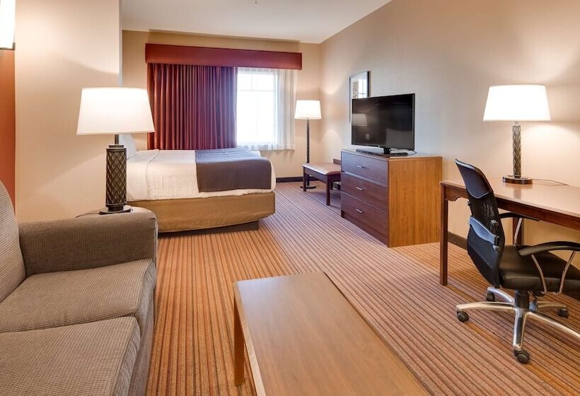 Suíte para Deficientes Físicos, Best Western Plus Chandler Hotel & Suites