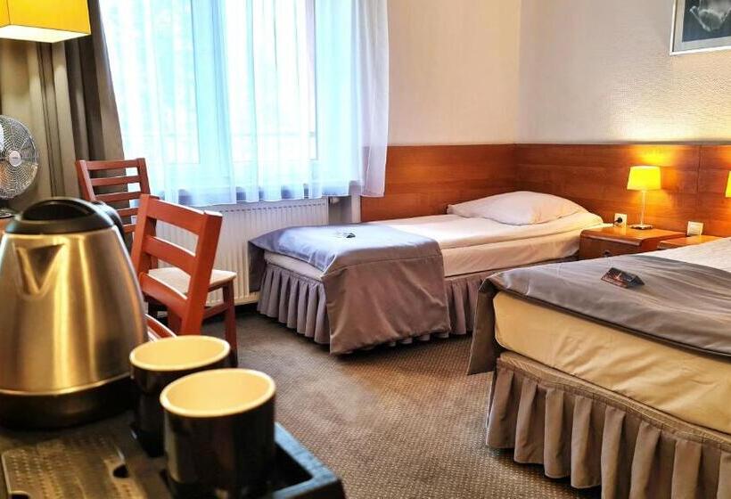 اتاق استاندارد یک نفره, Malinowski Economy