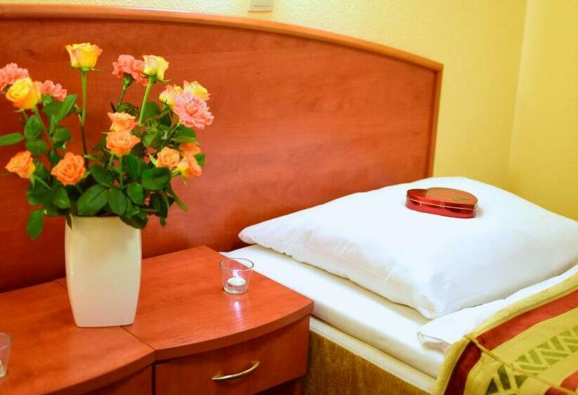 Номер Стандарт Индивидуальный, Panorama Nowy Sącz