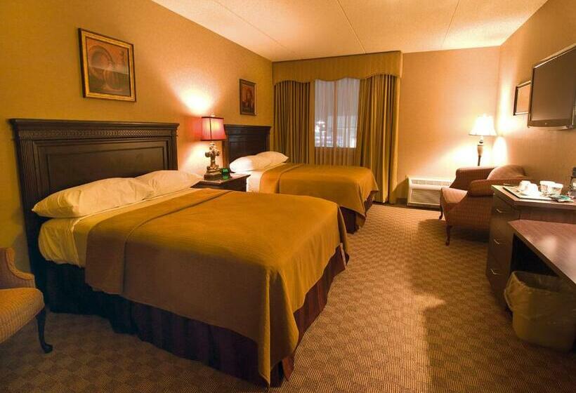 Номер Стандарт, Salvatores Grand